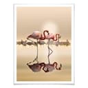 Plakat Osman - Flamingo