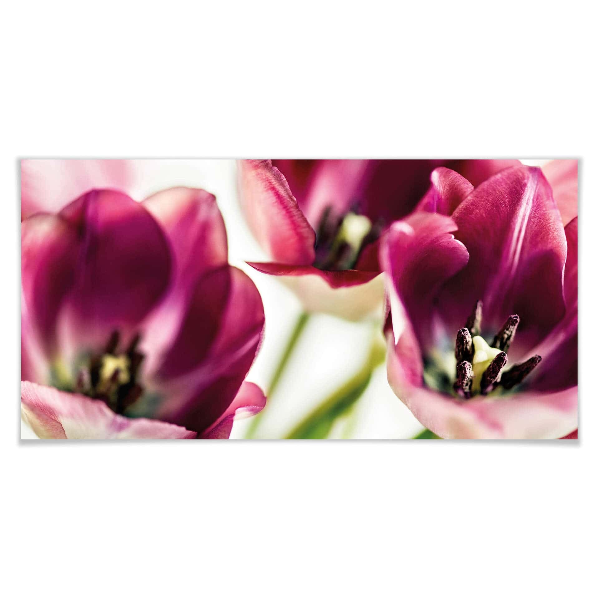 Plakat Bsmart - Tulipany
