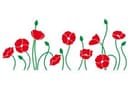 Obraz z okna Poppy Field