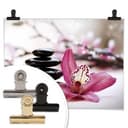 Orchidea z Plakatu