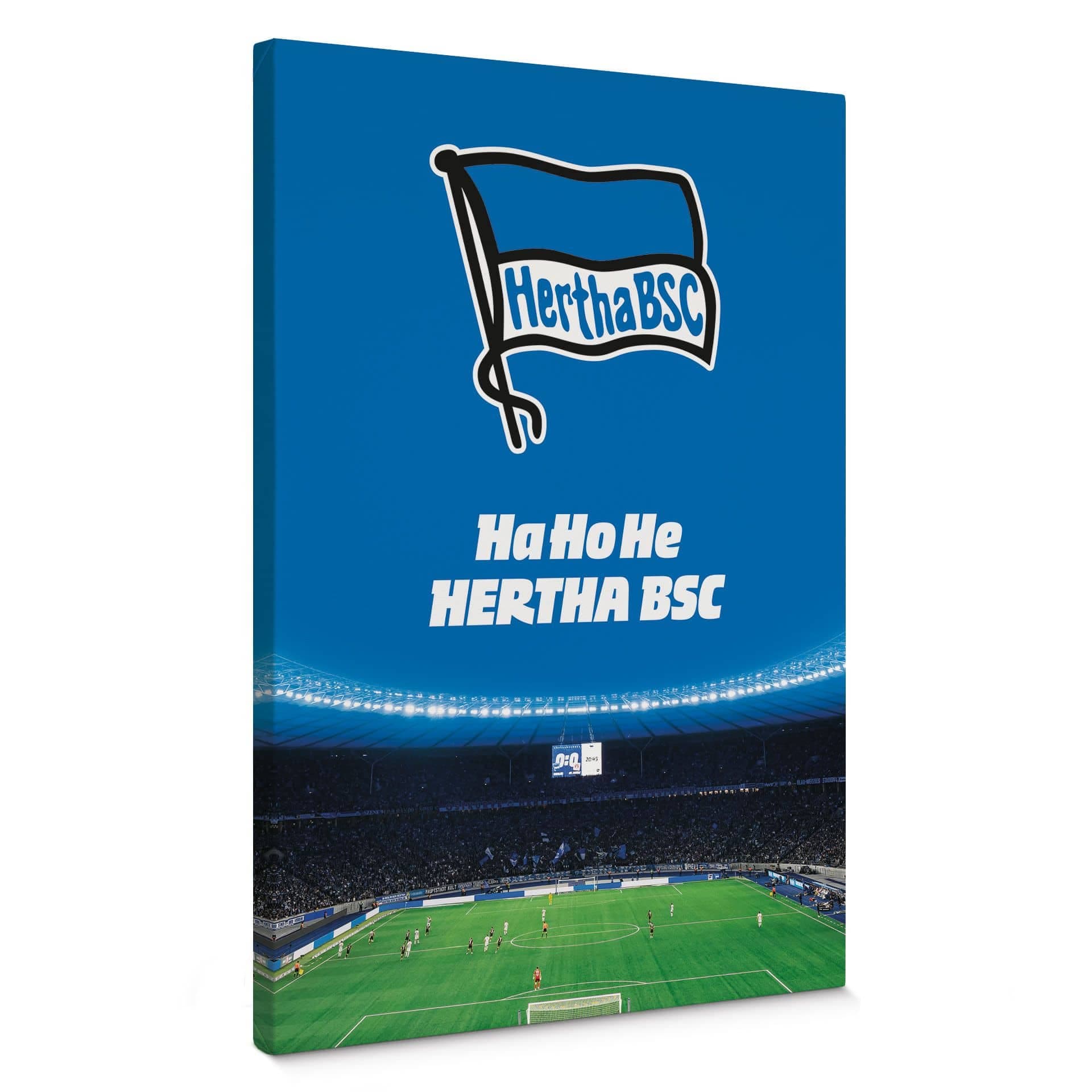 Obraz na płótnie Hertha BSC - HaHoHe