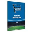 Obraz na płótnie Hertha BSC - HaHoHe