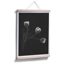 Patelnia plakatowa - trio Tulip