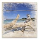 Obraz drewniany driftwood - 40x41,5 cm