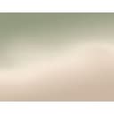 Fototapeta Ombre - Leśna mgła