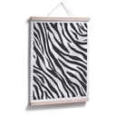 Plakat Zebra - Próbki