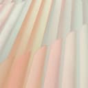 Graficzna tapeta Elysium rose