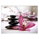 Orchidea z Plakatu