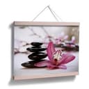 Orchidea z Plakatu