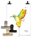 Plakat Buttafly - Koliber