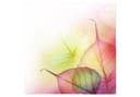 Plakat Pink Design