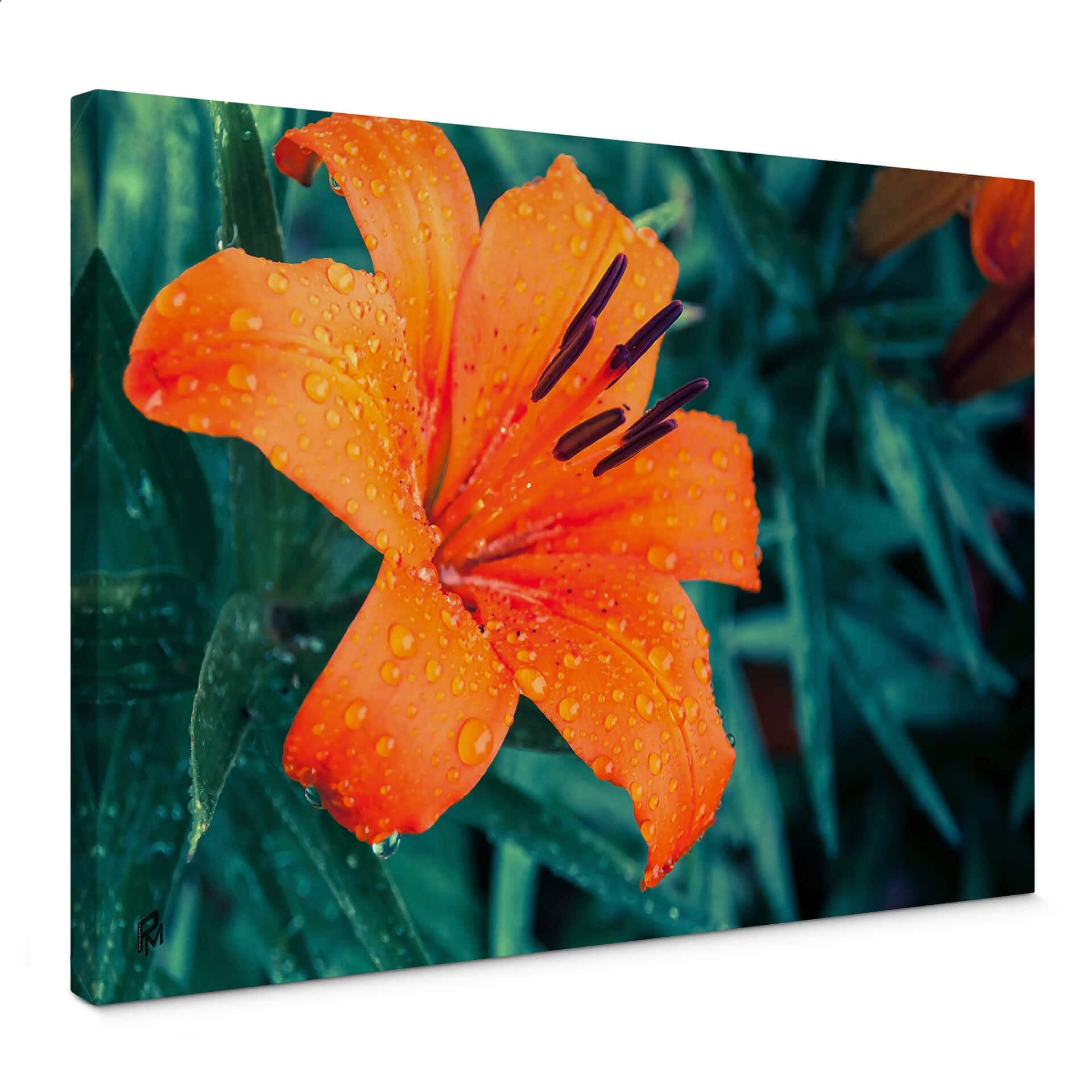 Obraz na płótnie Tropical Lily