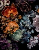 Fototapeta z motywem ciemnego bukietu kwiatów w kolorze czarnym z orchideami 2,7 x 2,12 m