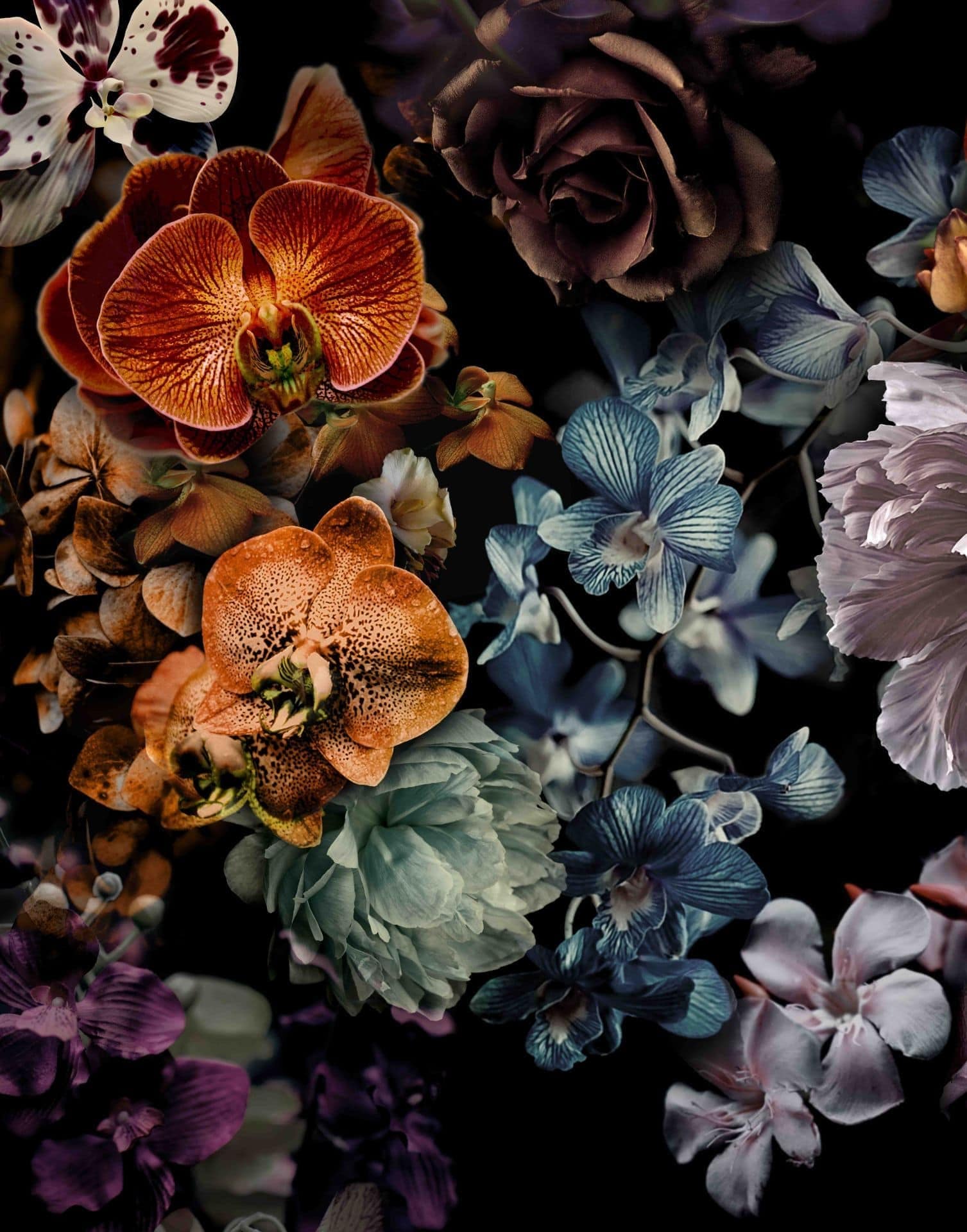 Fototapeta z motywem ciemnego bukietu kwiatów w kolorze czarnym z orchideami 2,7 x 2,12 m