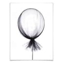 Plakat - Czarny balon
