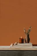 Farba do ścian i sufitów Premium pomarańczowa - Matowa farba do ścian wewnętrznych PURO c9003 dusty orange