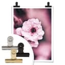 Plakat Blossom splendor - szczegół