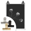 Patelnia plakatowa - trio Tulip