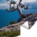 Morze i drzewa - Fototapeta okrągła - tapeta flizelinowa/tapeta flizelinowa samoprzylepna