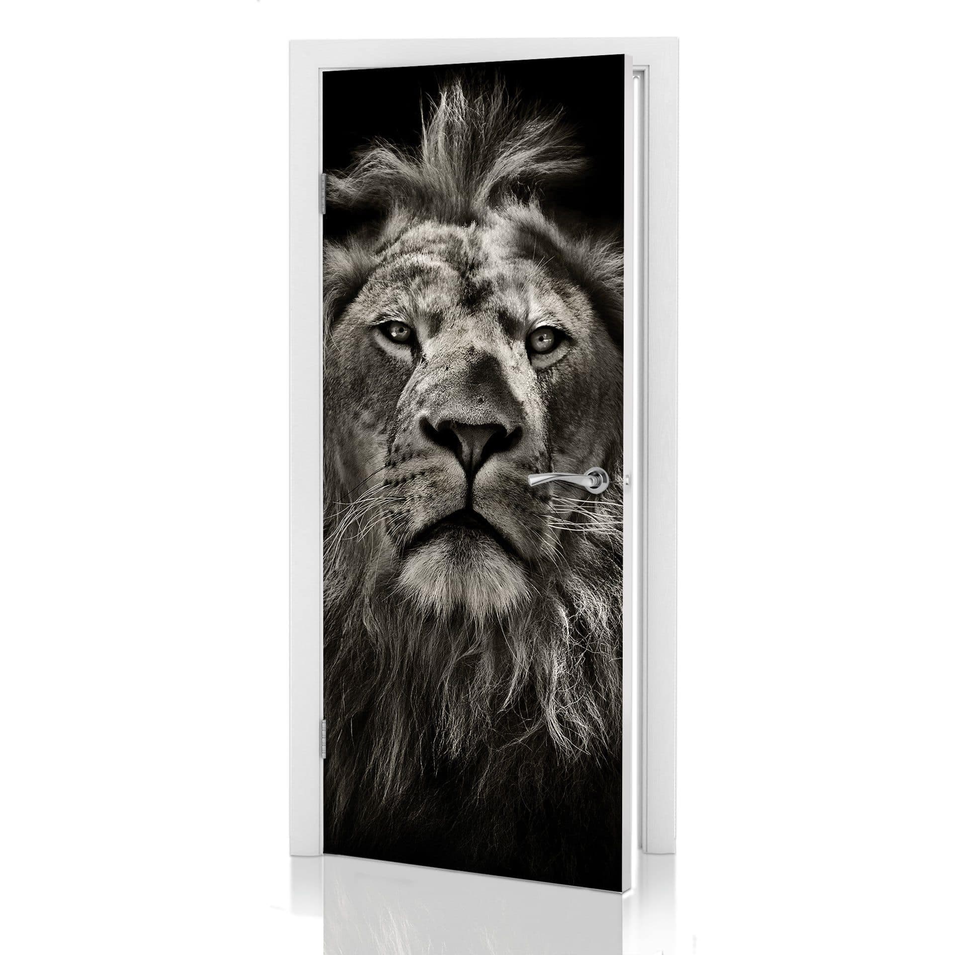 Konstrukcja drzwi Lion 91x200 cm