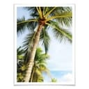 Plakat - Palms 07