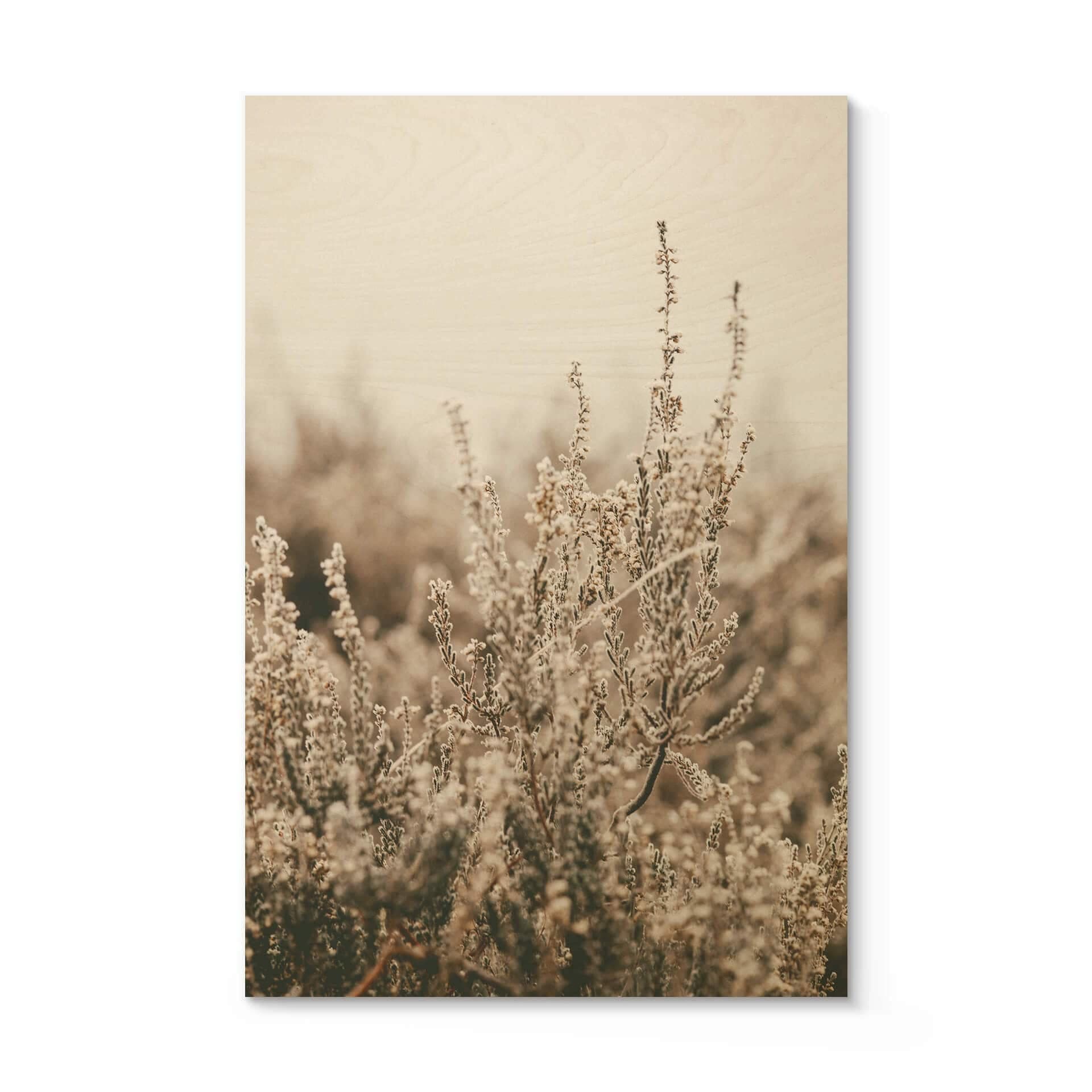 Plakat drewniany Annie - Trawy