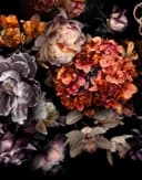 Fototapeta z motywem ciemnego bukietu kwiatów w kolorze czarnym z orchideami 2,7 x 2,12 m