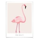Plakat Pink Beauty - Flamingo