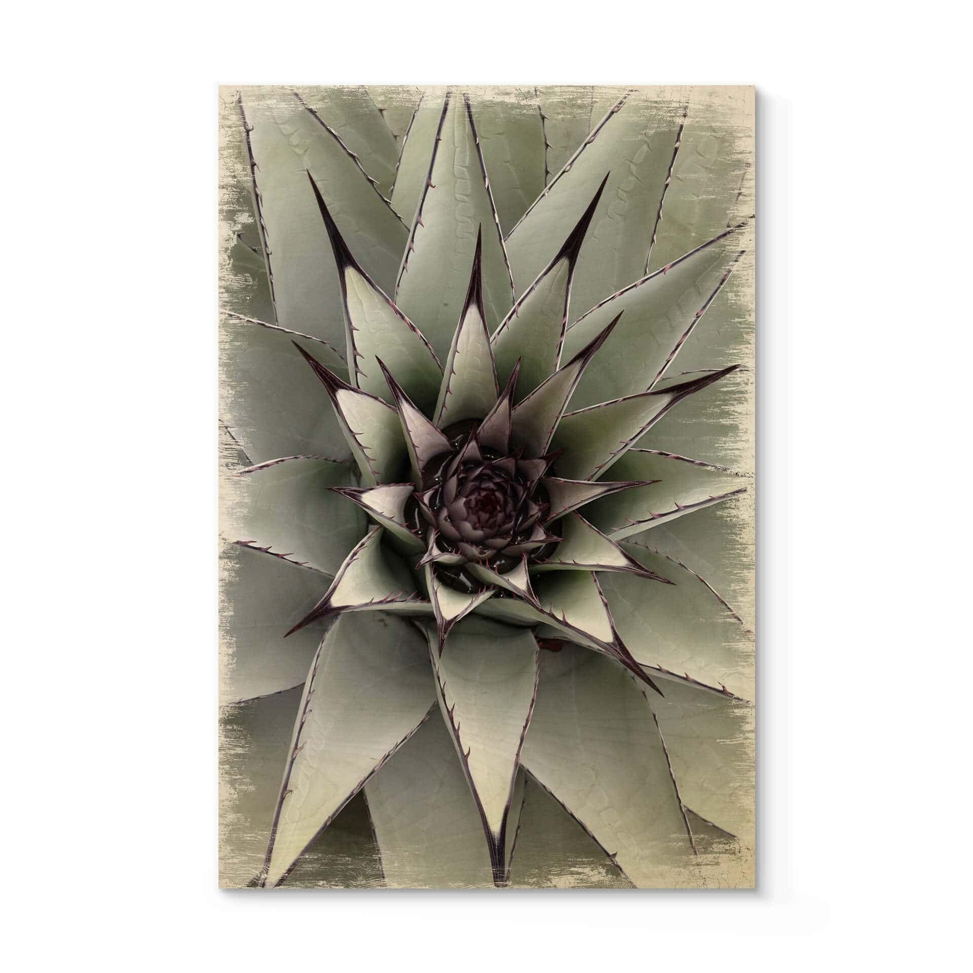 Plakat drewniany Agave 01