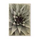 Plakat drewniany Agave 01