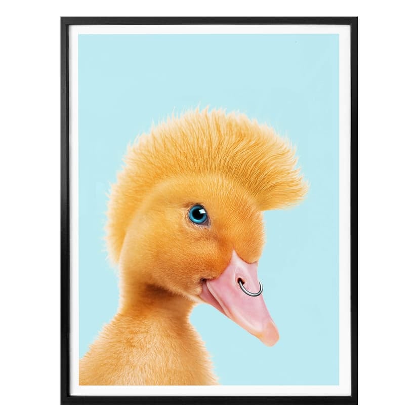 Plakat Loose - Rebel Duckling