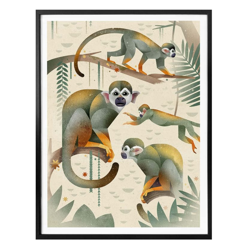 Plakat Brown - Małpy wiewiórki