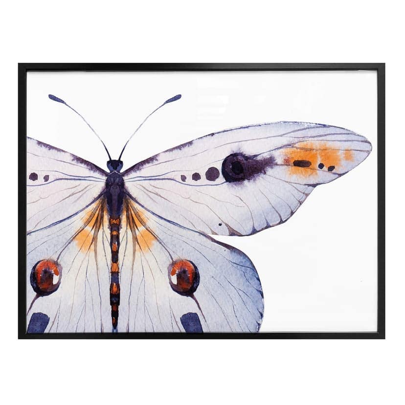 Plakat Kvilis - Motyl 01
