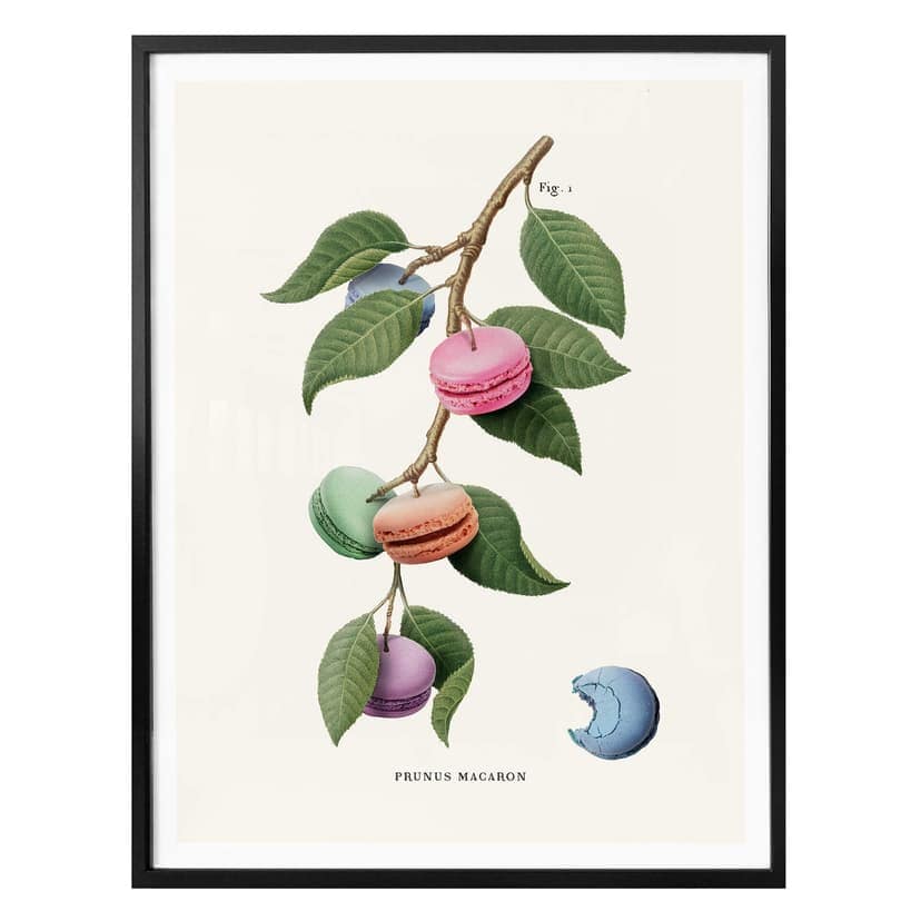 Luźny plakat - roślina Macaron