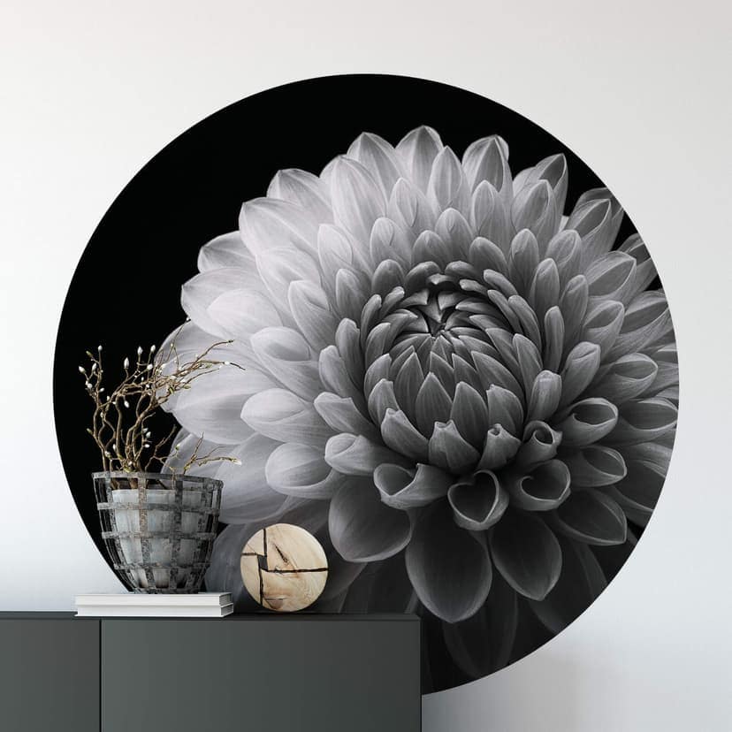 Fototapeta Grønkjær - Dahlia - okrągła - tapeta flizelinowa/tapeta flizelinowa samoprzylepna