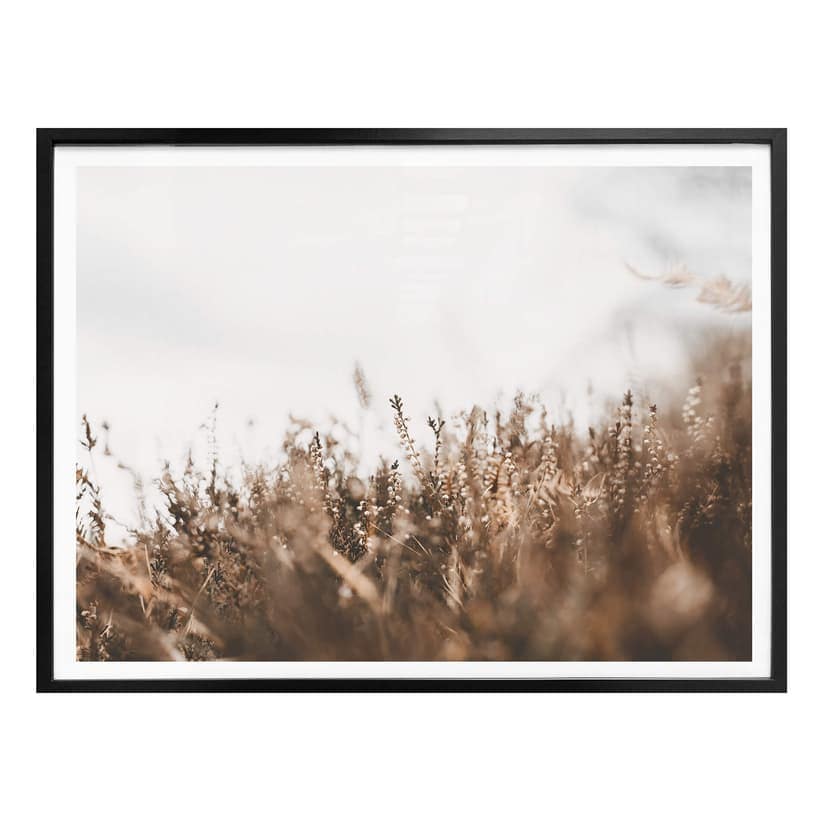Plakat Annie - Trawy łąkowe