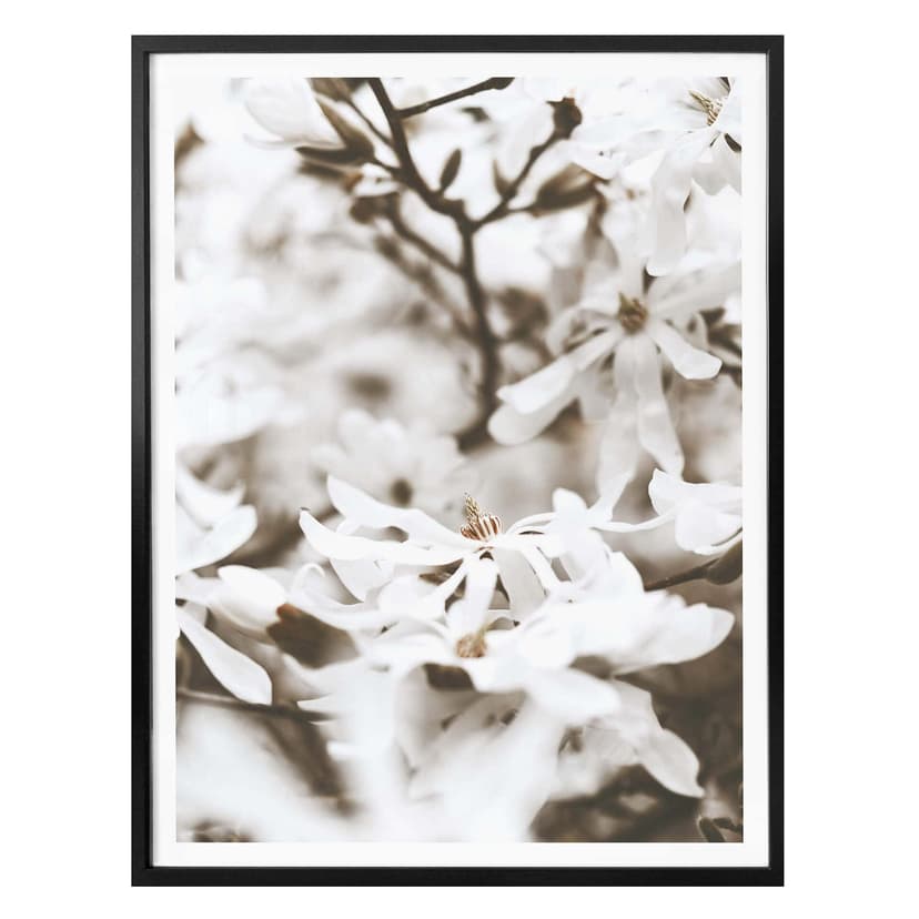 Plakat Annie - Jasmine