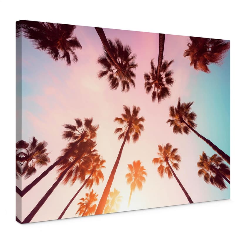 Obraz na płótnie California Dreaming z widokiem na palmę - Hugonnard