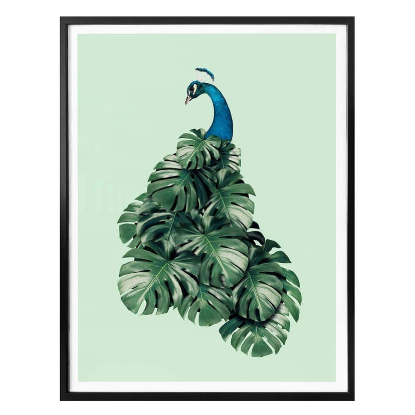 Plakat Loose - Monstera Bird