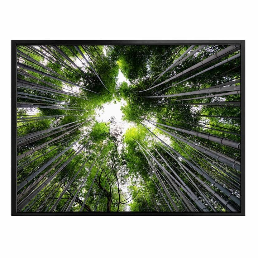 Plakat Hugonnard - Las w Japonii