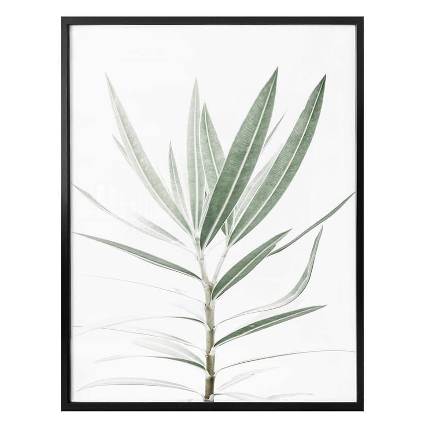 Plakat Sisi & Seb - Oleander