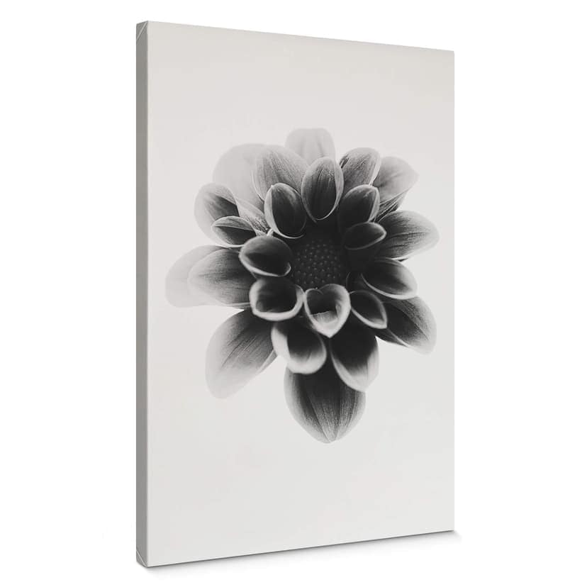 Obraz na płótnie Grønkjær - Dahlia