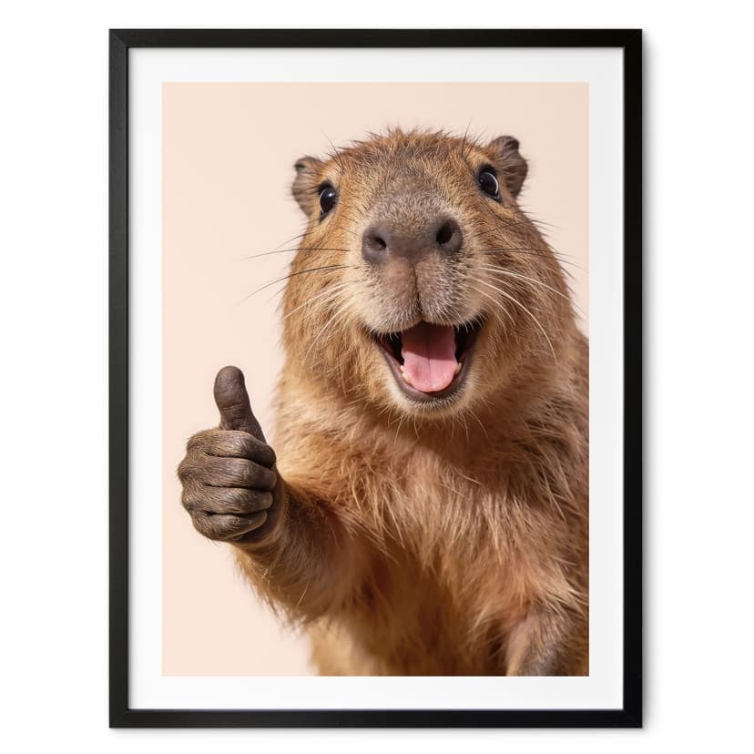 Plakat Happy Capybara z kciukami w górę