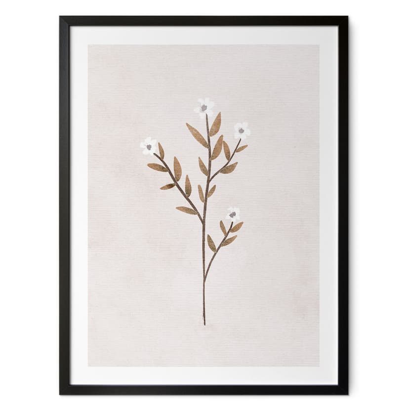 Plakat Kwiaty Ilustracja - Forget-me-not - Goed Blauw