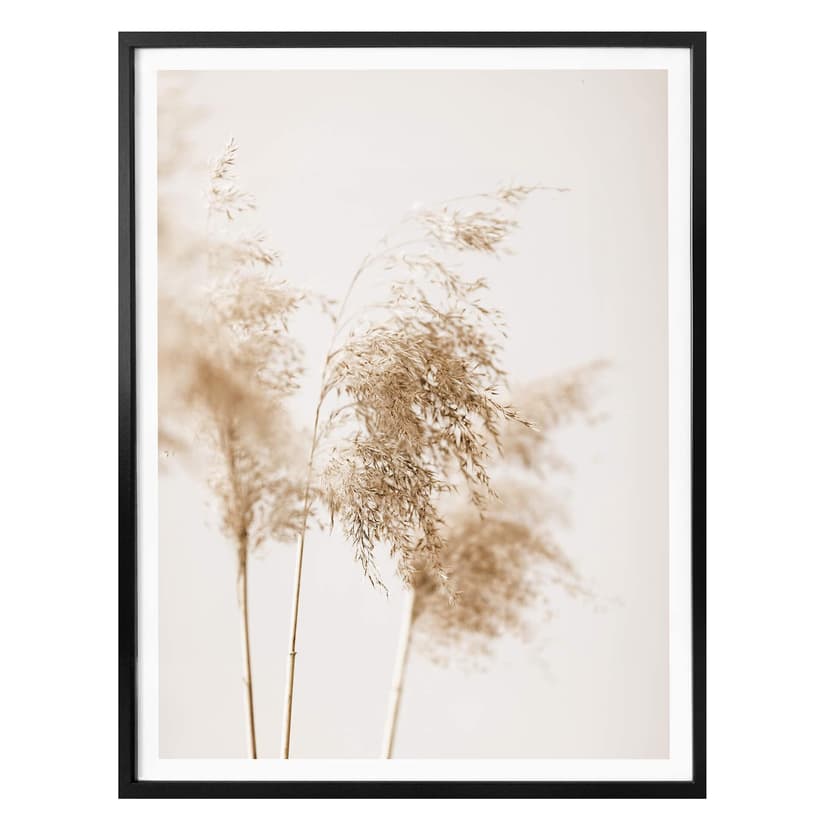 Plakat 1X Studio - Letnie trawy