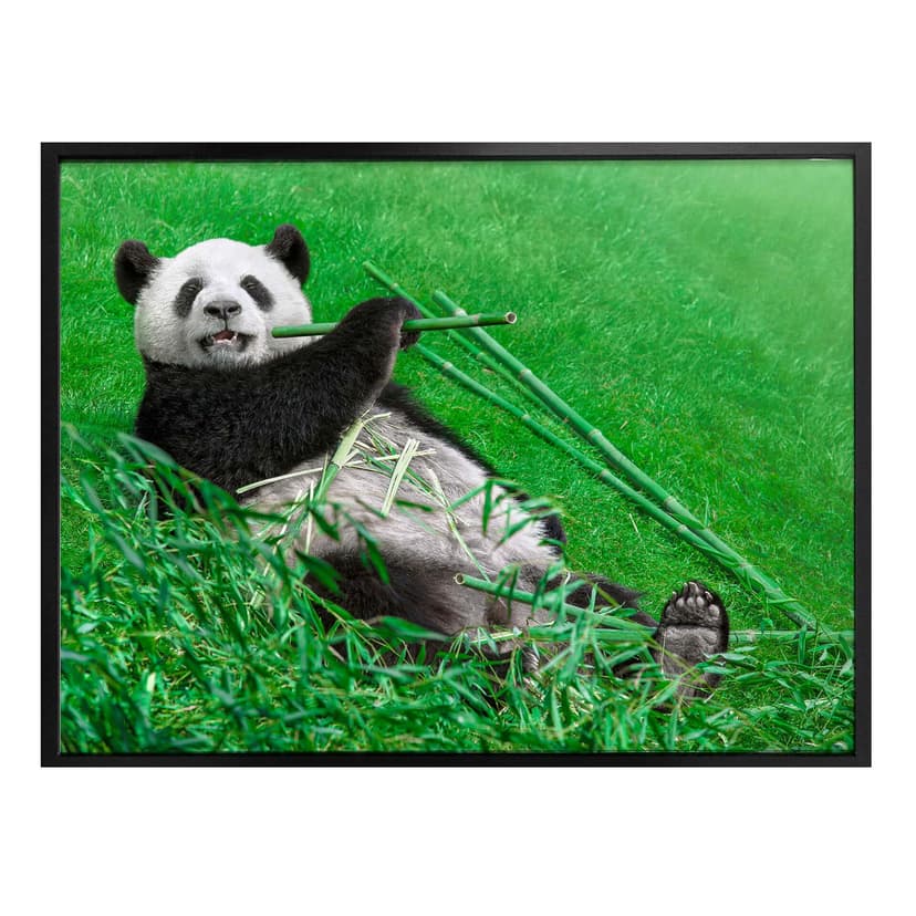 Plakat Ben Heine - Happy Panda