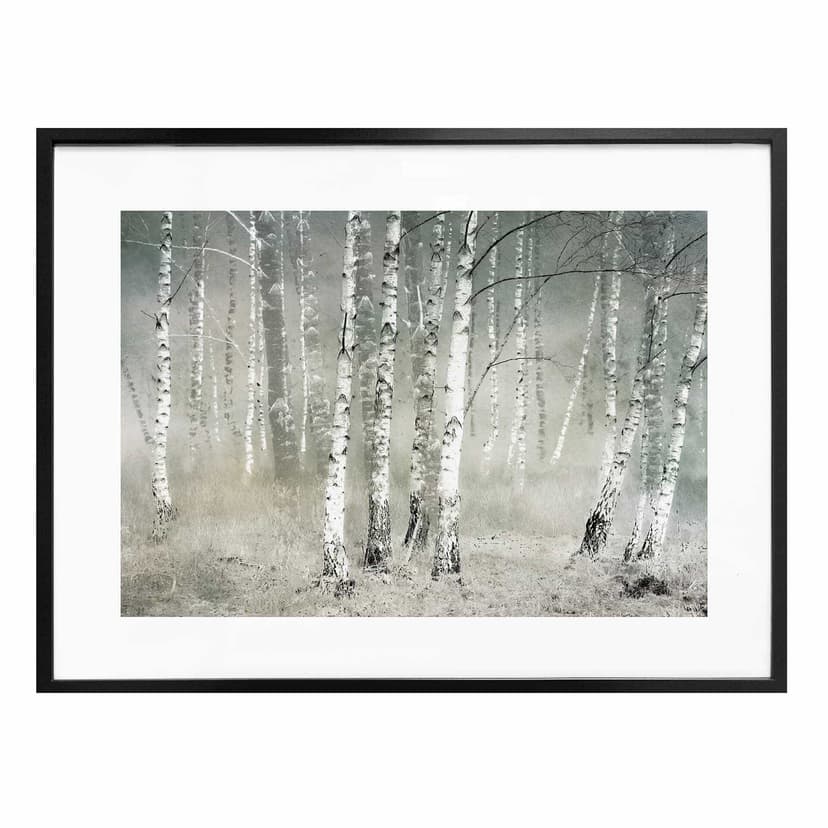 Plakat Talen - Poranny spokój