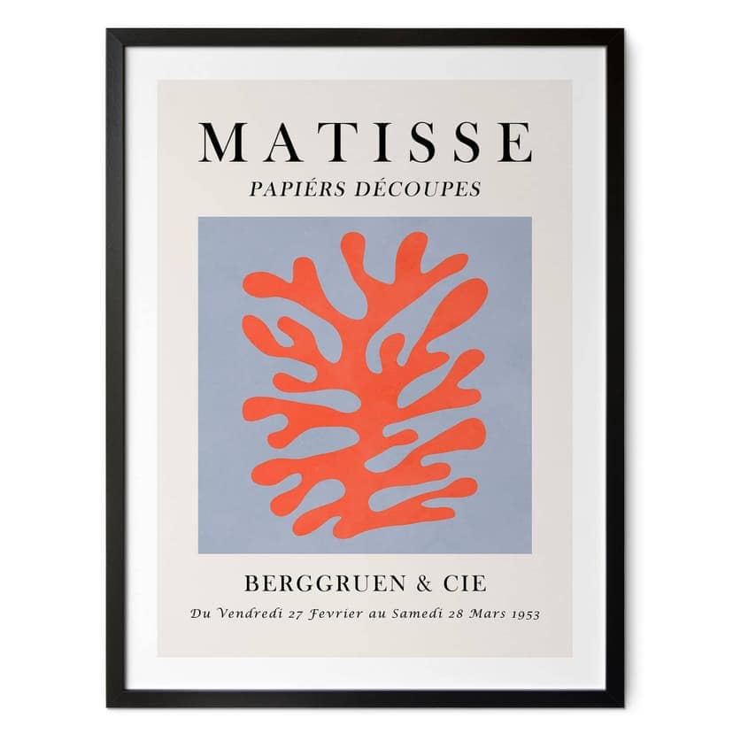 Plakat z abstrakcyjnym koralowcem Matisse'a - Costa