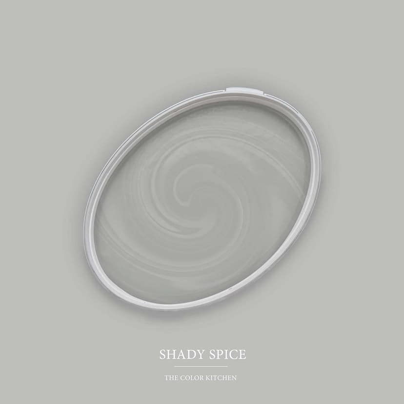 Szara farba do ścian i sufitów satynowy mat I Shady Spice | tworzenie eleganckiej, nowoczesnej atmosfery | THE COLOR KITCHEN