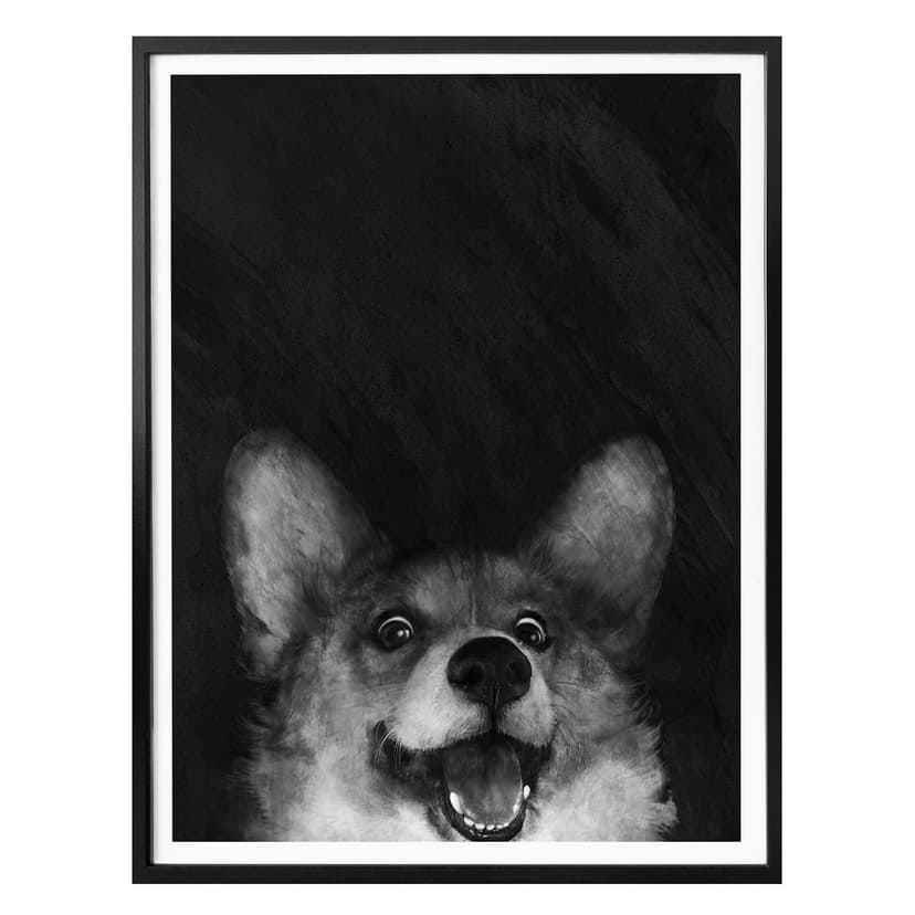 Plakat Graves - Sausage Fox Corgi